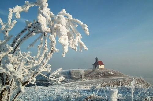 Posada Cserekert, Alszegi Porta