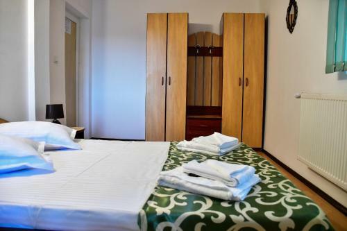 Hostal Vila Trei Brazi