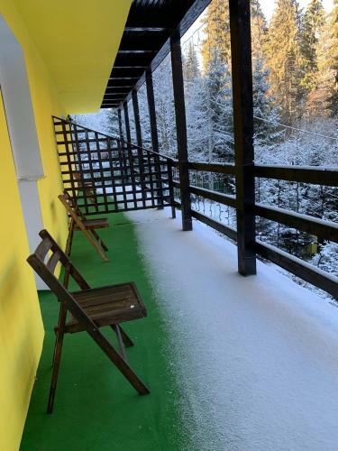 Hostal Vila Trei Brazi