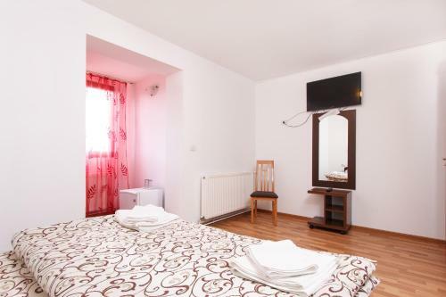 Hostal Pensiunea Andrei
