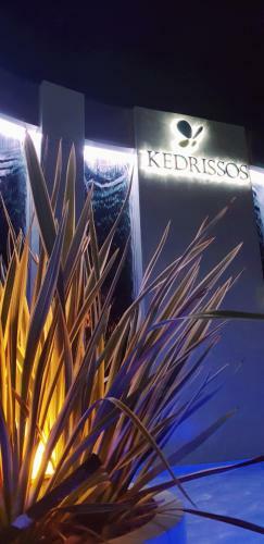 Aparthotel Kedrissos Hotel