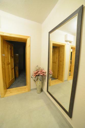 Hotel Vir Villa