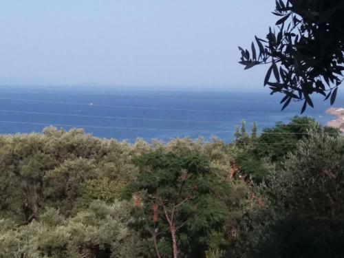 Apartamento Belvedere Zakynthos Studios