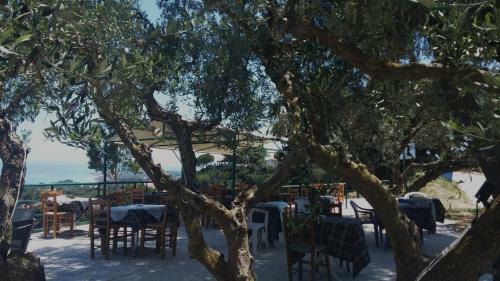 Apartamento Belvedere Zakynthos Studios