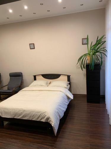 Apartamento ?????? ?????? Brown