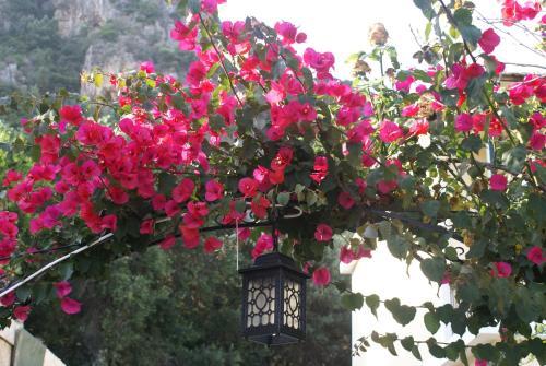 Apartamento Felicita - Balis