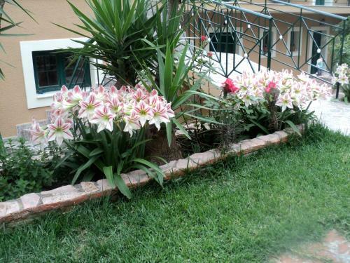 Anastasis Apartments