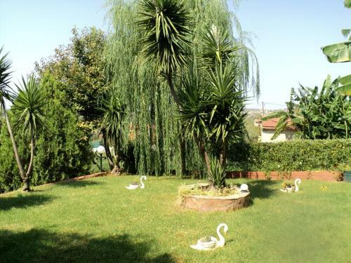 Anastasis Apartments