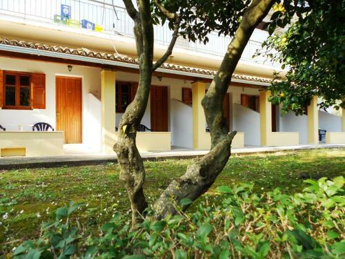 Apartamento Anemona Studios