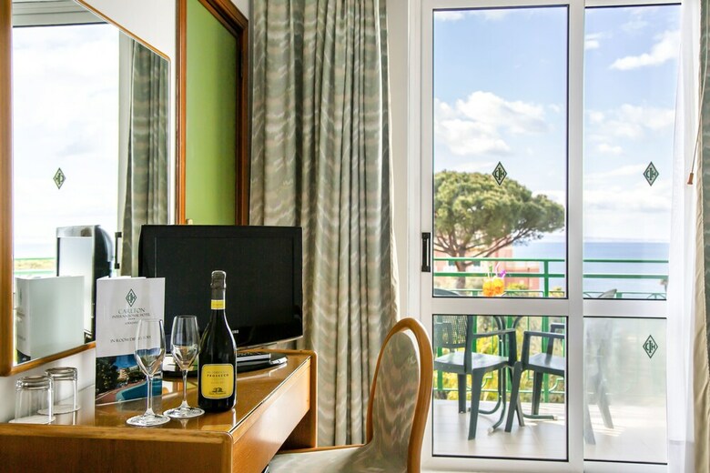 Hotel Carlton International