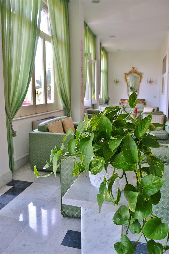 Hotel Carlton International