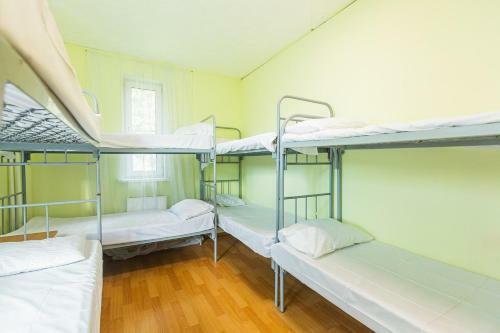 Albergue ?????? Nika