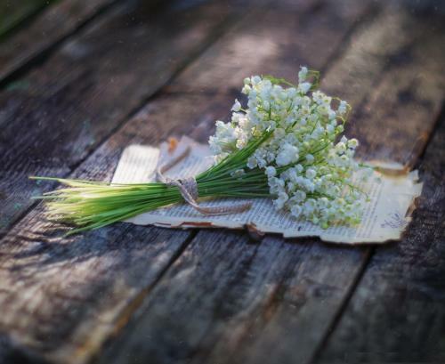 Apartamento Next Point