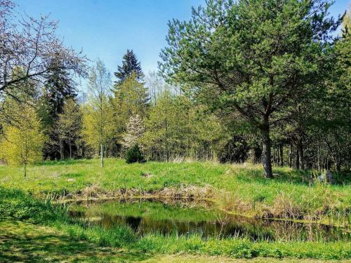 Holiday Home Mariestad VI