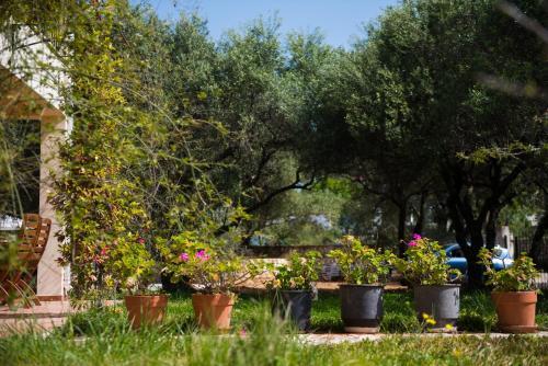 Koxyli Studios & Apartments
