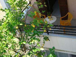 Afrodite Apartments