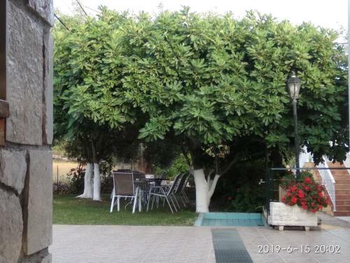 Apartamento Stamatia Studios