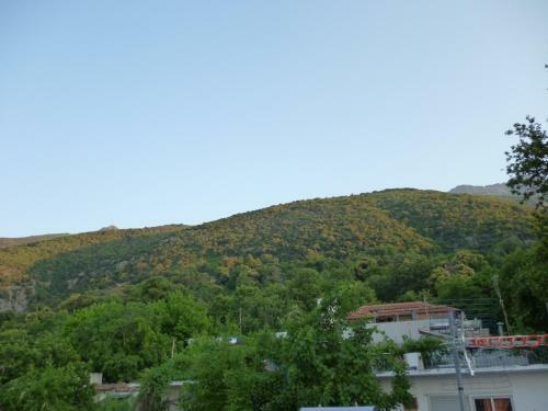 Hostal Galini