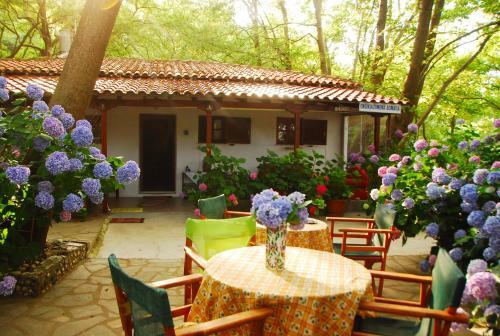 Apartamento Tasoula Parselia Studios