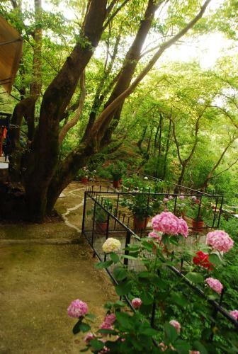 Apartamento Tasoula Parselia Studios