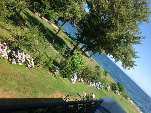 Archondissa Boutique Beach Aparthotel