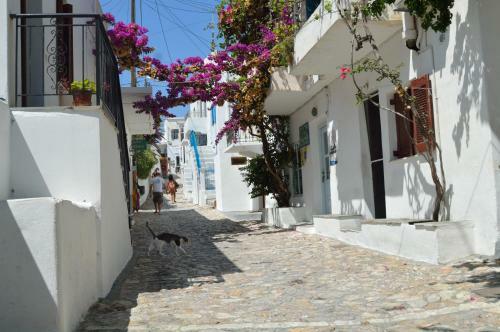 Apartamento Skyros Junior Studios