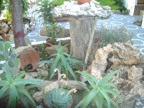 Hostal Skyros Panorama Studios