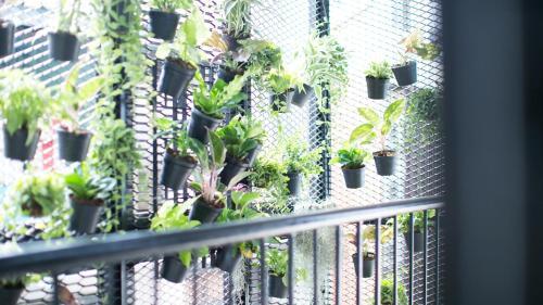 Albergue Lamurr Sukhumvit 41