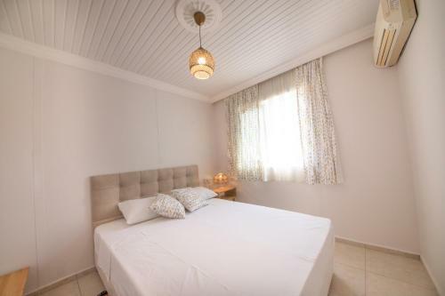 Hotel Yucca House G�kova