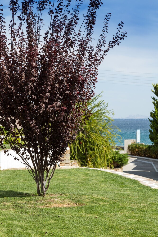 Apartamento Ostria Inn