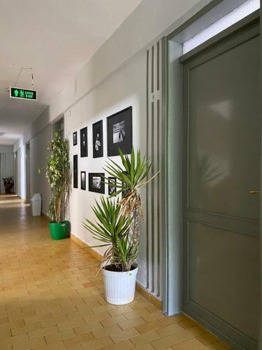 Bed & Breakfast Mete Otel