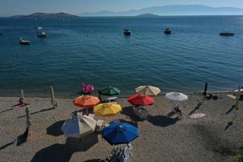 Hotel Monk Island Guesthouse