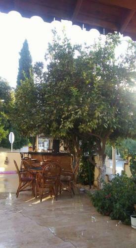 Bed & Breakfast Kutberk Boutique Hotel