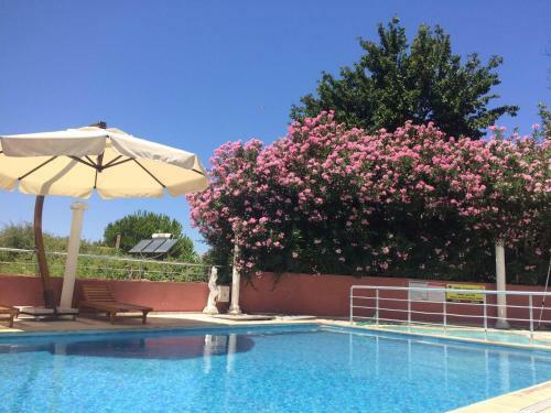 Selina Hotel