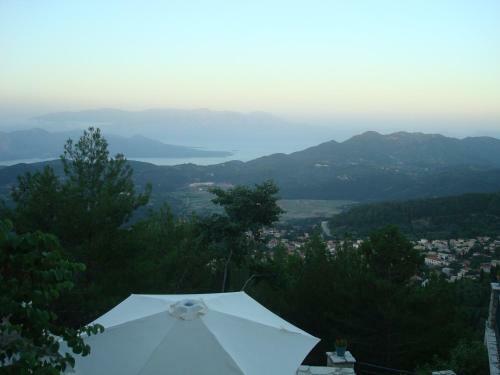 Merlot Village 1