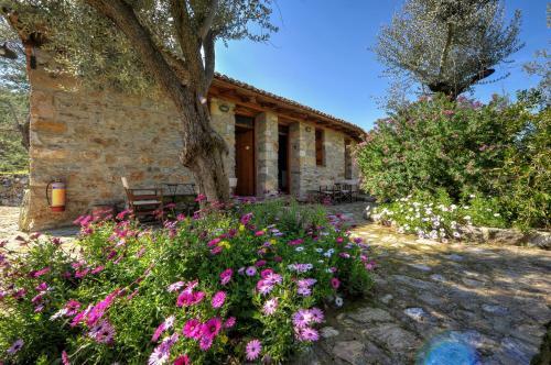 Hostal Gera's Olive Grove (elaionas Tis Geras)