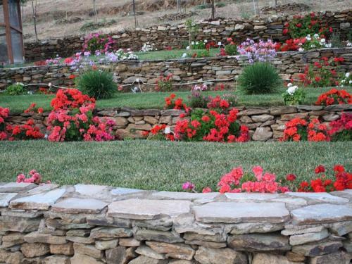 Argo Hotel