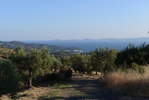 Apartamento Guesthouse Parthenon