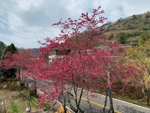 Breeze Hotspring Homestay
