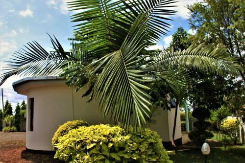 Hostal Room In Bb - Amazing Accommodation In Arusha Furaha Lodge