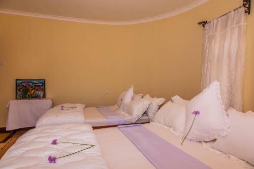 Hostal Room In Bb - Amazing Accommodation In Arusha Furaha Lodge