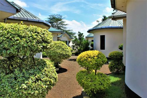 Hostal Room In Bb - Amazing Accommodation In Arusha Furaha Lodge
