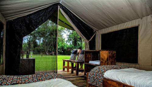 Africa Safari Camping Mto Wa Mbu