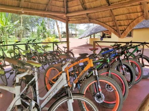 Africa Safari Camping Mto Wa Mbu