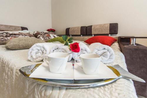 The Best Rest In This Stylish, Cozy Apartament.