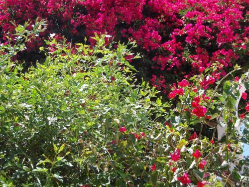Apartamento Villas Michalis