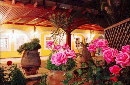 Crithoni's Paradise Hotel