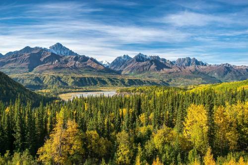 Sockeye Salmon - Kenai Kuik Cabins - River Access Cabin