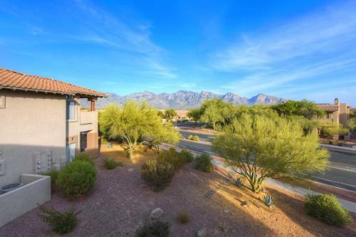 Catalina Mountain Vistas #216