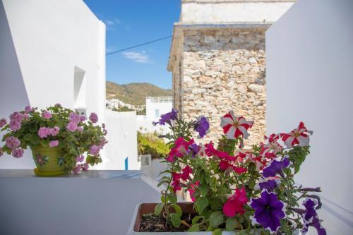 Apartamento Pension Barbara